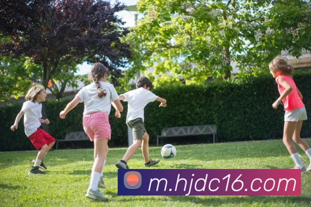 App Interface Preview